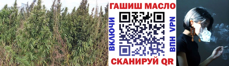 наркотики  OMG как войти  ТГК вейп с тгк  Ессентуки 