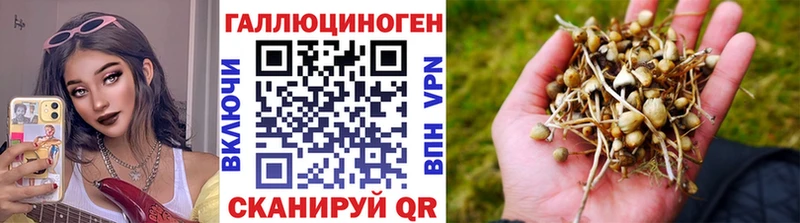 купить наркотик  Ессентуки  Псилоцибиновые грибы ЛСД 