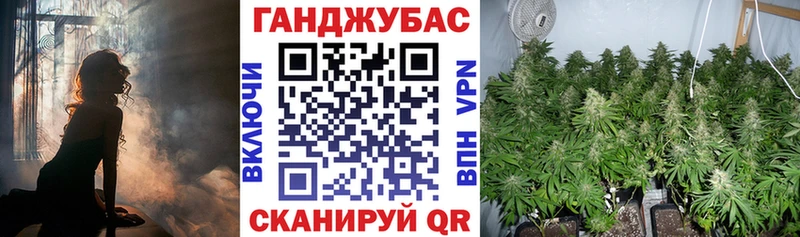 Бошки марихуана THC 21% где купить Ессентуки